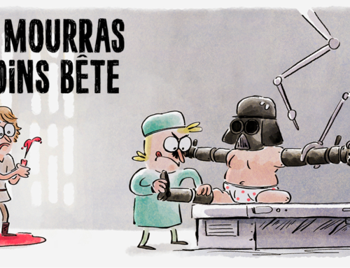 Tu mourras moins bête
